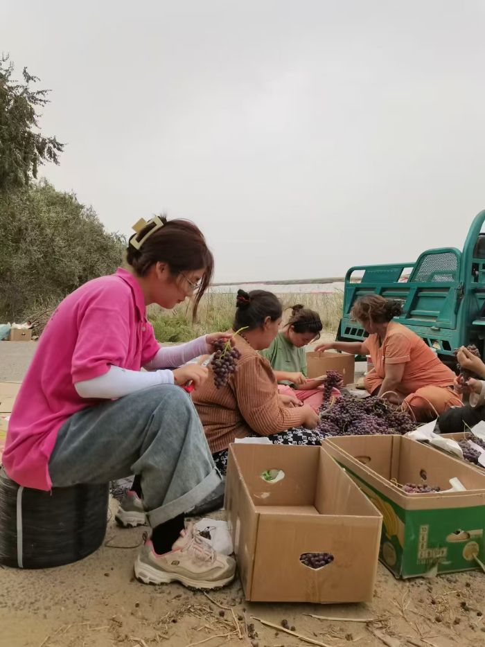 �������Բ����Ļ���ഺ������ҫ�߽�