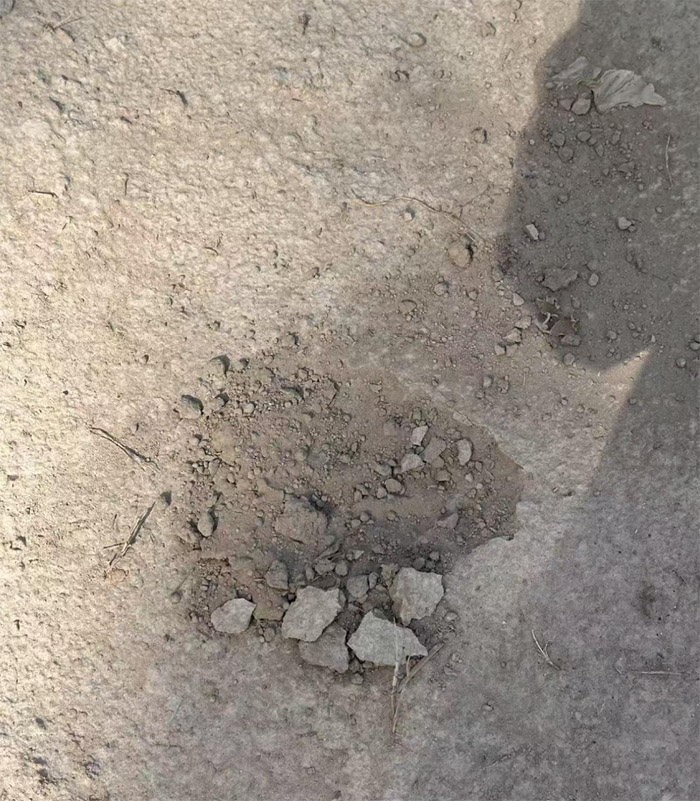 ˮ���뽨������ѧԺ��չ ���μ�������Ż����С� �