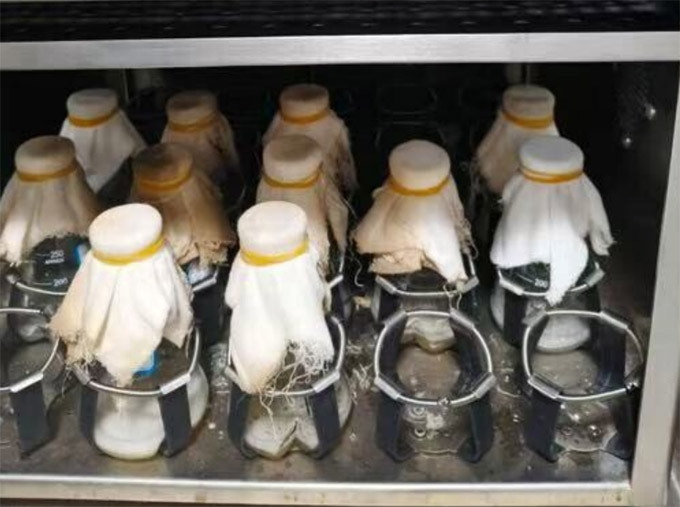 ����ʵ�����������İ֮�ϡ�������ʦ����ѧ��������������