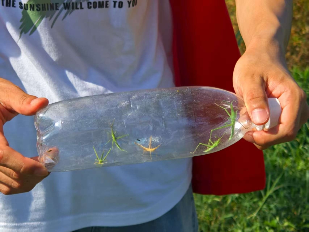 �ഺ����������� ������������Ϣ�������̬��������ʵ�����ܽ�ƪ