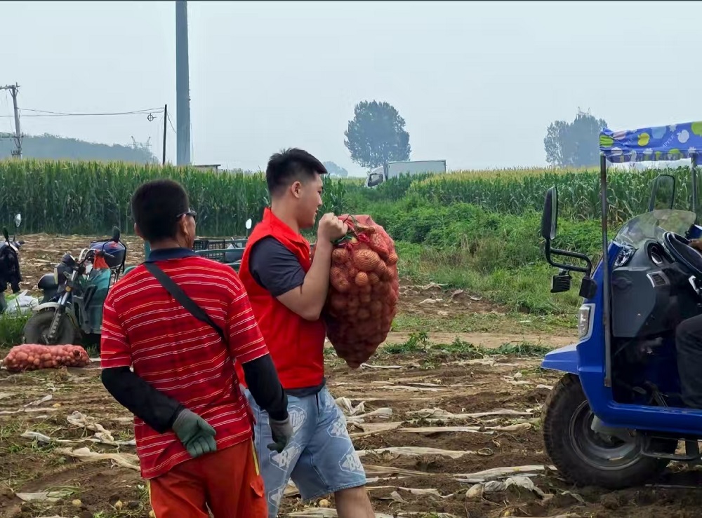 �ഺ������������ ɽ�ƴ�ʵ����������д���˴��