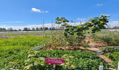 ���������³̣�����ѧ�ӻ�ũ���¾�