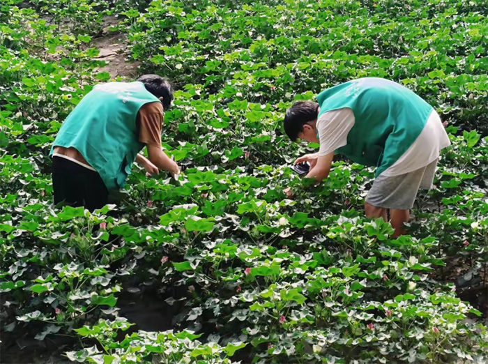 �ഺ������䣬ʵ������ũ����źȻ������ʵ���Ų���ũ������