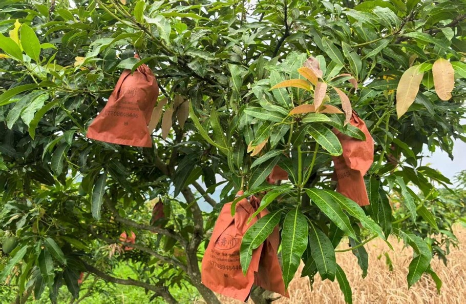 ѭ������â���磬����̬����Ϊ�ʣ�����������������»���