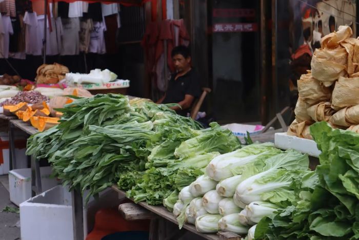 ��̶��ѧѧ��������������ϼ���һ����ͳ���ִ����ڵ�����ʢ��