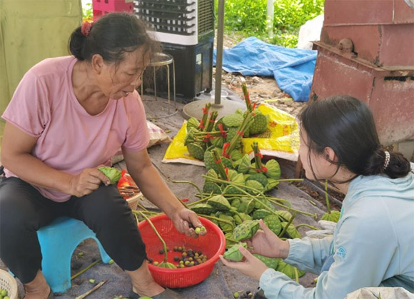 ����ʦ��������ũ�ŶӸ����Ĵ��������������ź��ҵ����