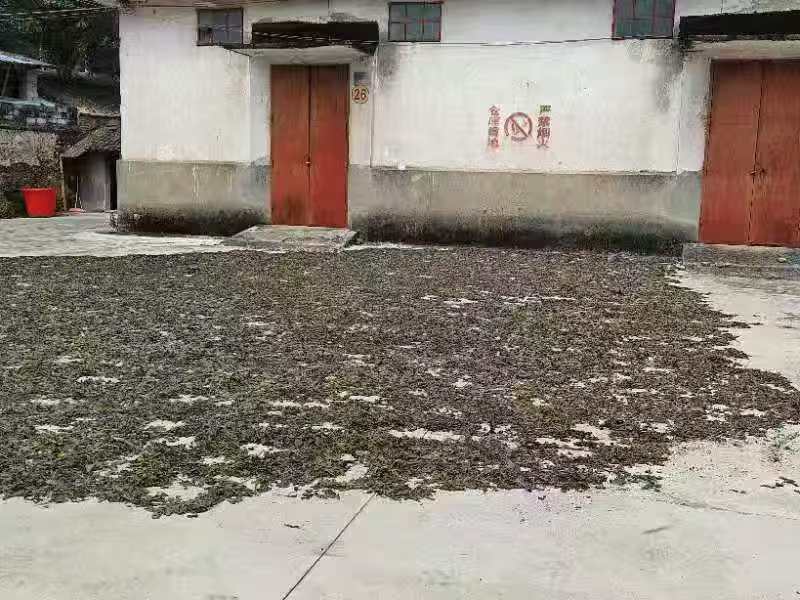 ����Ʈ���ҵ�ˡ������ֺ�Ժѧ�����������������