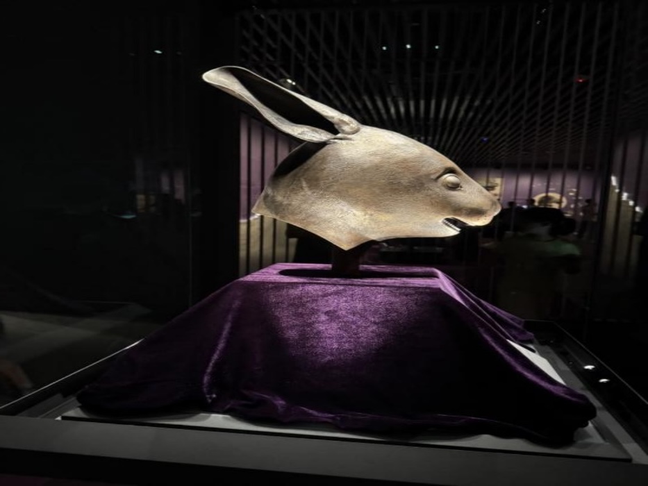 �Ϸ��С������飺����ѧԺѧ�������� ���д�ഺ����