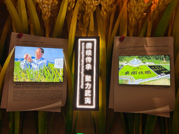 ��������ҩ��ʵ��������������:֪ʶ���ܣ��Ļ�����